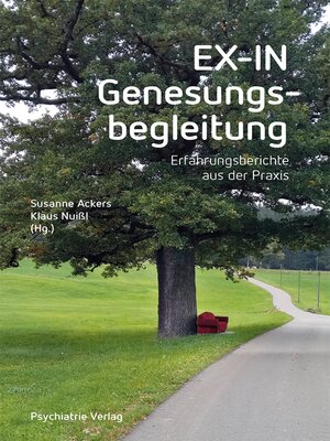 cover image of EX-IN Genesungsbegleitung